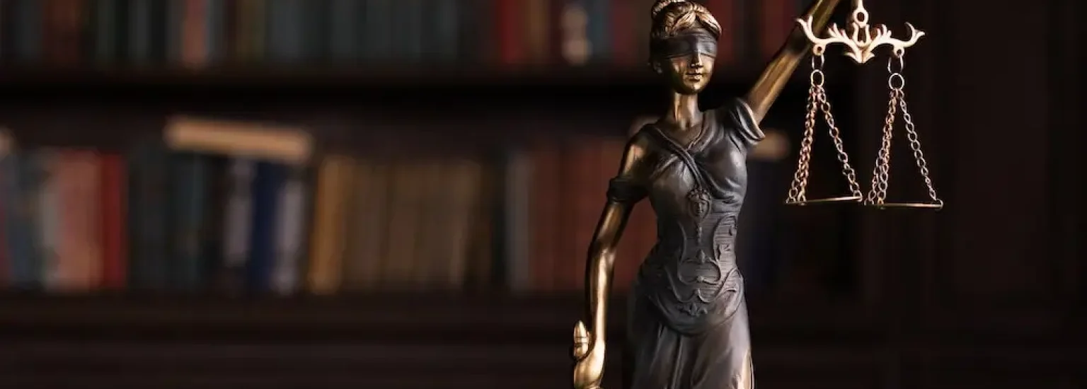 About Walailak Law Firm